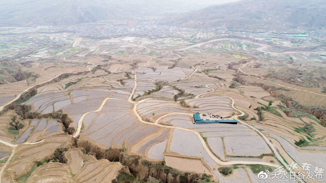 全网最低价ks业务平台是真的吗