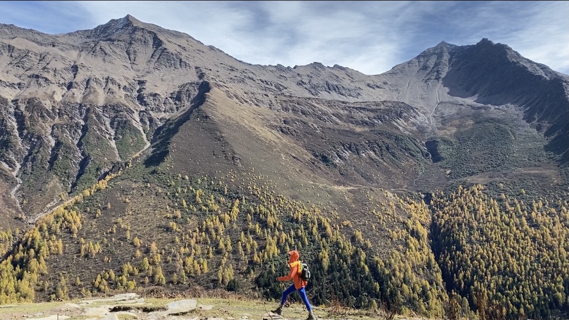 全网最便宜ks点赞网站平台